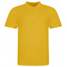 AWDis The 100 Cotton Piqué Polo Shirt