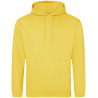 AWDis College Hoodie